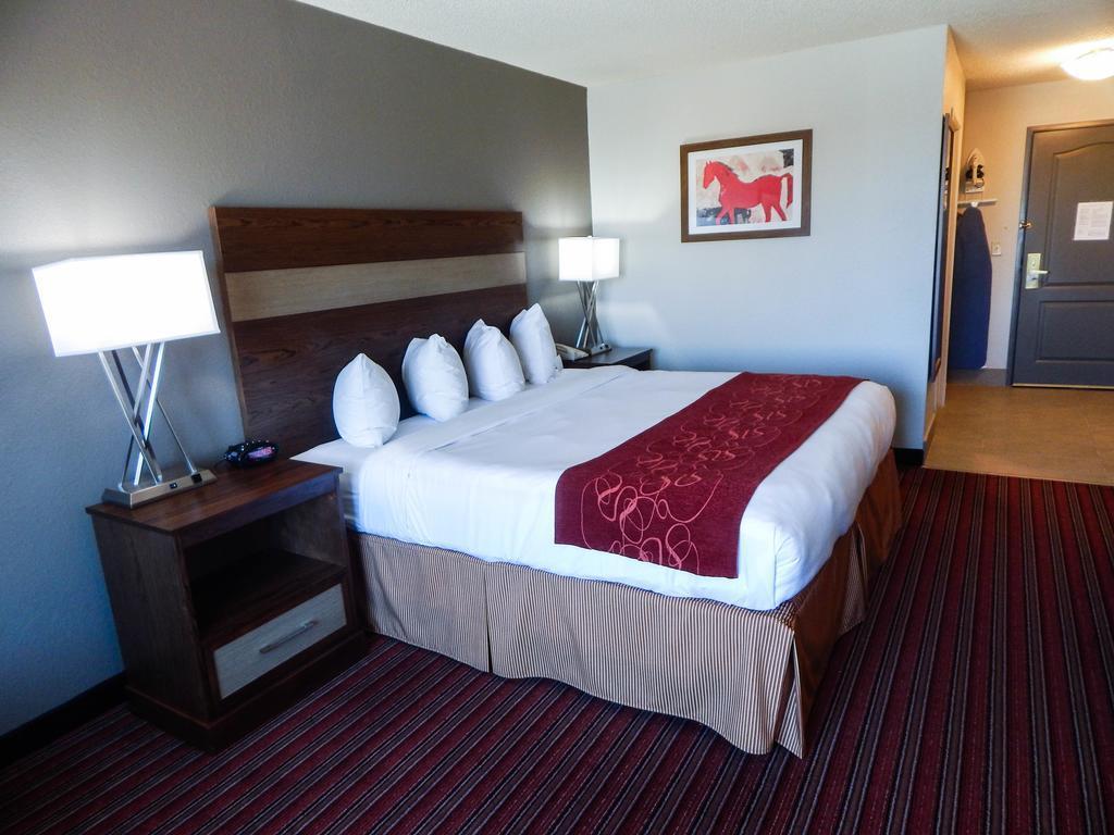 Country Inn & Suites By Radisson, Dfw Airport South, Tx Ірвінг Екстер'єр фото